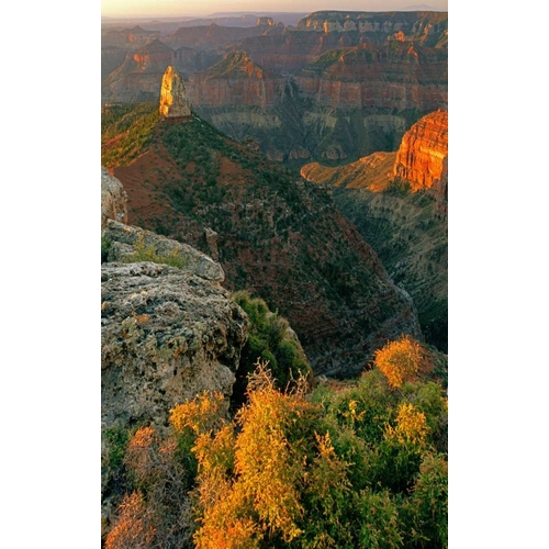 AZ, Grand Canyon, Sunrise at Point Imperial